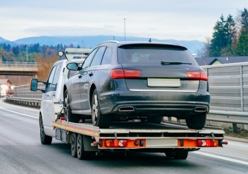 Untitled design (48)