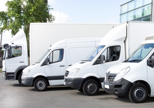 Untitled design (53)