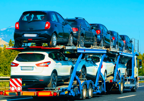 Untitled design (59)