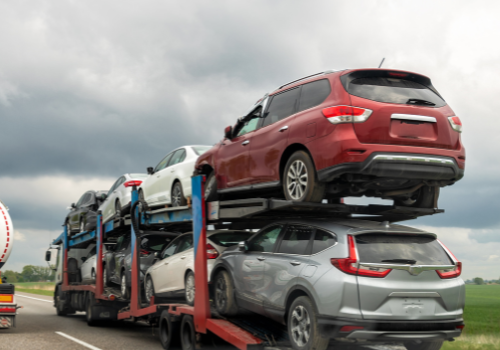 Untitled design (60)