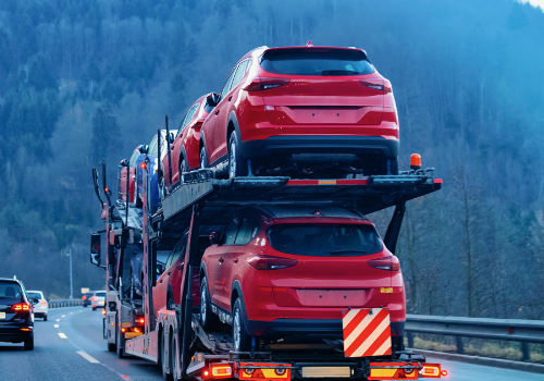 Untitled design (79)