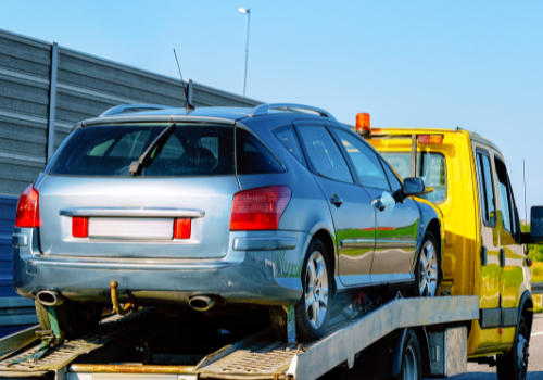 Untitled design (82)